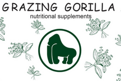 Grazing Gorilla